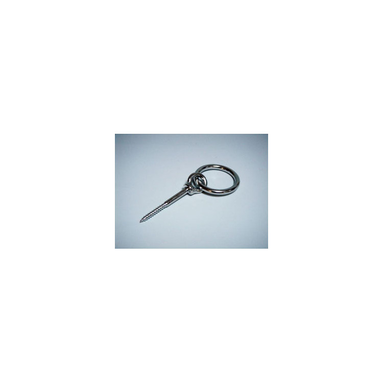 Eye Bolt with Ring, Stainless