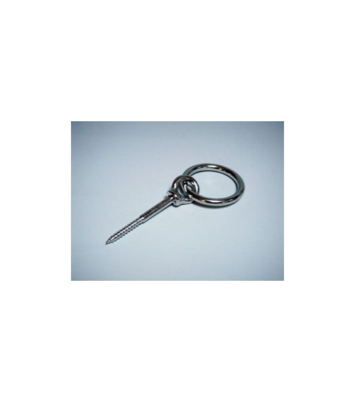 Eye Bolt with Ring, Stainless
