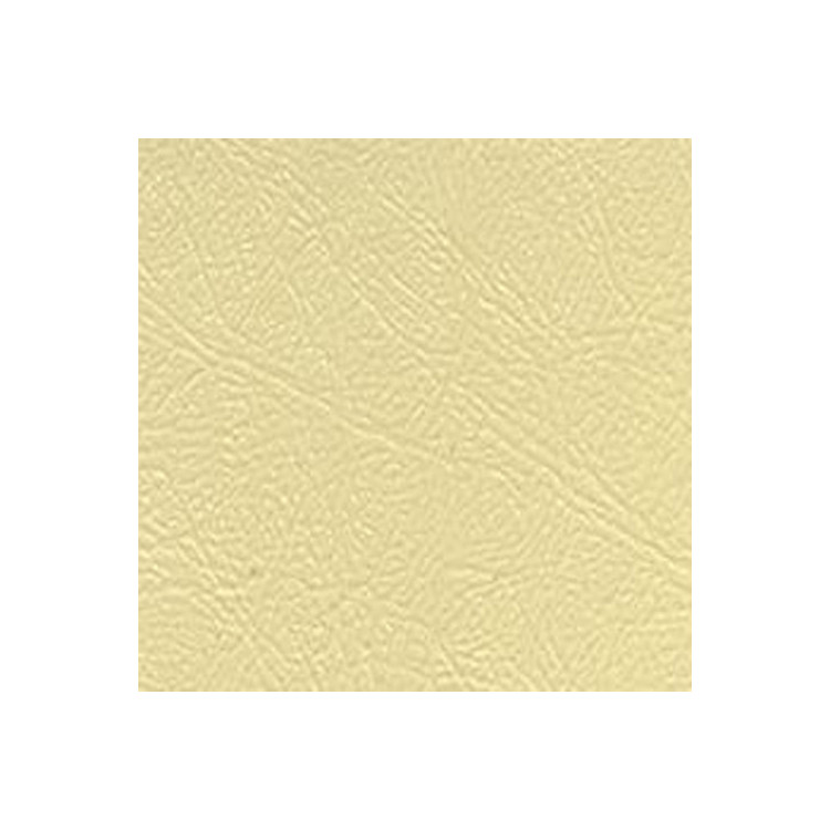 Captain