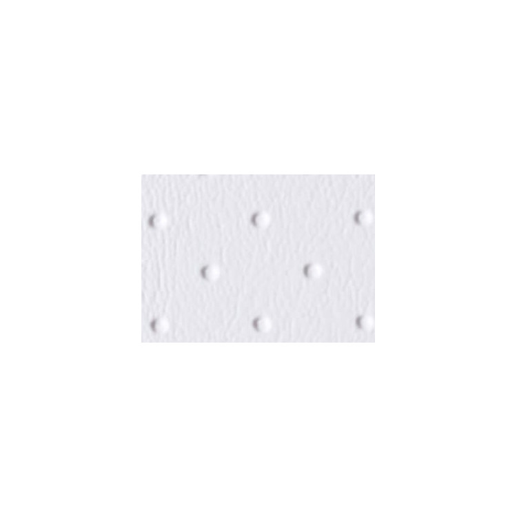Seaside Perforated