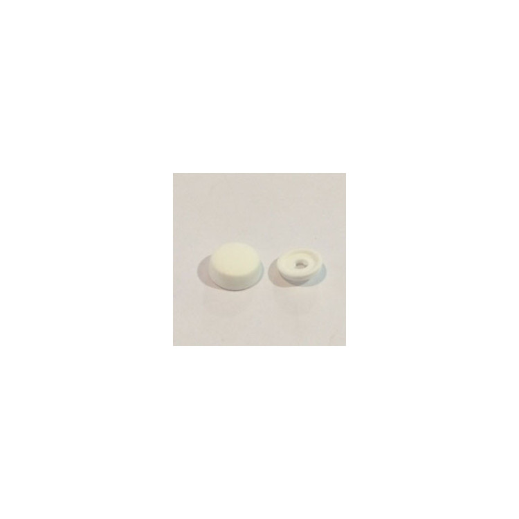 PVC Cap