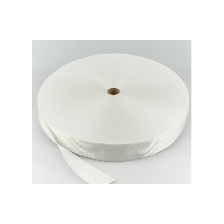 Polyester Webbing