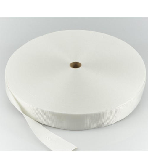 Polyester Webbing
