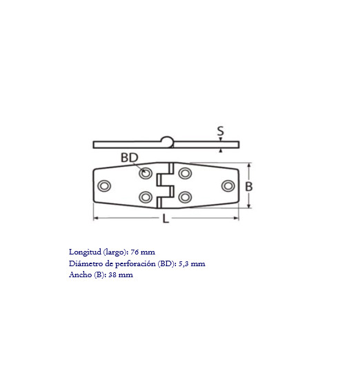 Flat Stainless Hinge