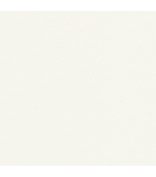 Stamoid Light 4128 260 cm, Whites