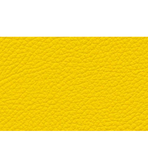 Dynactiv Gemini 175