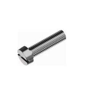 DIN 84 Slotted Cheese Head Screw, 316 Stainless