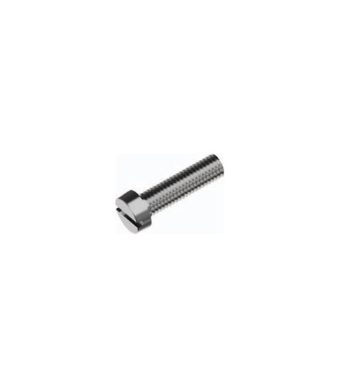 DIN 84 Slotted Cheese Head Screw, 316 Stainless