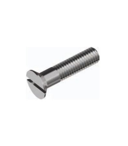 DIN 963 Slotted Countersunk Screw, Stainless