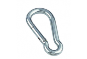 Stainless Steel Carabiner