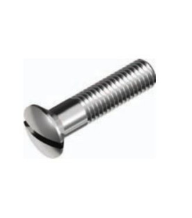 DIN 964 Slotted Raised Countersunk Screw, 316 Stainless