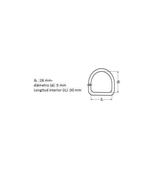 Stainless D-Ring