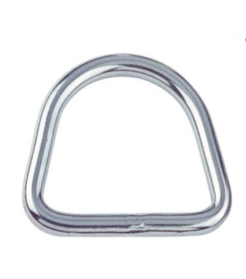 Stainless D-Ring
