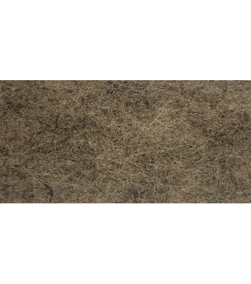 Trade Show Carpet