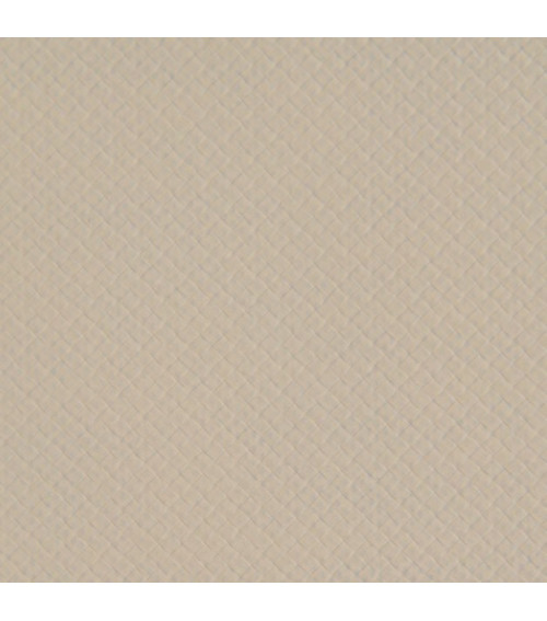Sauleda Trend & Trend Light