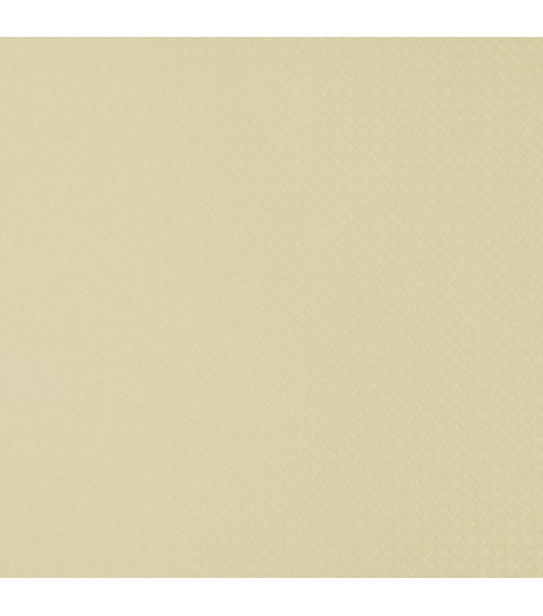 Sauleda Trend & Trend Light