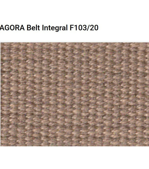 Agora Belt