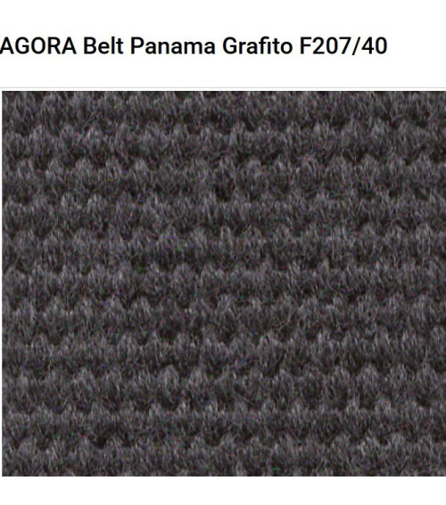 Agora Belt