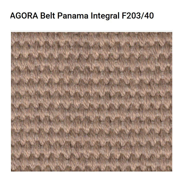 Agora Belt