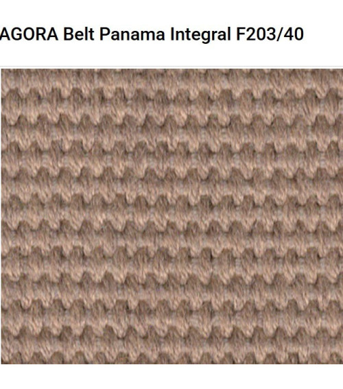 Agora Belt