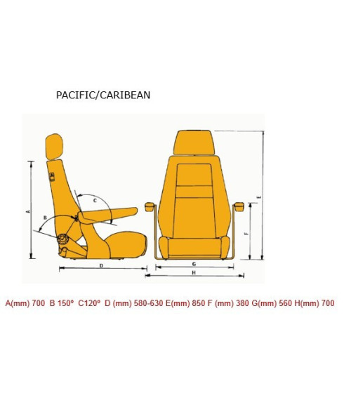 Recaro Caribean Seat