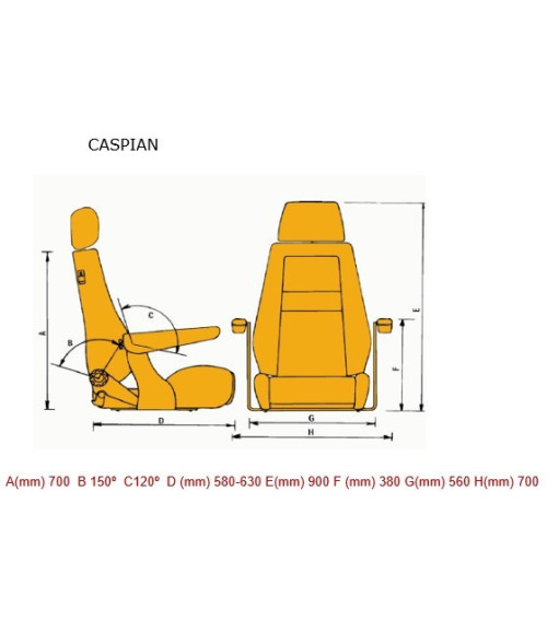Asiento Recaro Caspian de Luxe