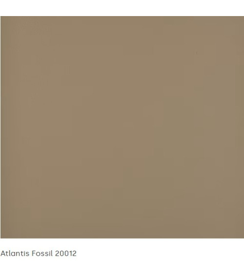 Agora Pro Atlantis
